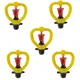 Pack of 5__ABH Products