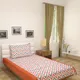 Orange__DEKOR WORLD