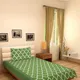 Green__DEKOR WORLD