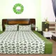 Green__DEKOR WORLD