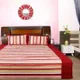 Maroon__DEKOR WORLD
