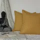 Mustard__DEKOR WORLD