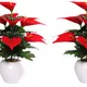 Pack Of 2__Chaudhary Flower