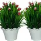Pack Of 2__Chaudhary Flower