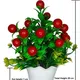 Pack Of 1__Chaudhary Flower