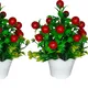Pack Of 2__Chaudhary Flower