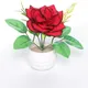 Pack Of 1__Chaudhary Flower