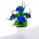 Pack Of 1__Chaudhary Flower