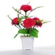 Pack Of 1__Chaudhary Flower