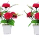 Pack Of 2__Chaudhary Flower