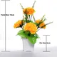 Pack Of 1__Chaudhary Flower