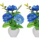 Pack Of 2__Chaudhary Flower