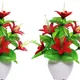 Pack Of 2__Chaudhary Flower