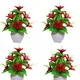 Pack Of 4__Chaudhary Flower