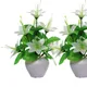 Pack Of 2__Chaudhary Flower