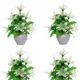 Pack Of 4__Chaudhary Flower