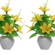 Pack Of 2__Chaudhary Flower