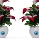 Pack Of 2__Chaudhary Flower