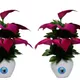 Pack Of 2__Chaudhary Flower