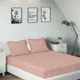 Peach__SLEEPING OWLS