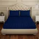 Blue__SLEEPING OWLS