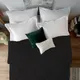 Black__SLEEPING OWLS