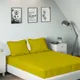 Golden__SLEEPING OWLS