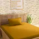 Mustard__SLEEPING OWLS