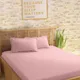 Pink__SLEEPING OWLS
