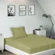 Beige__SLEEPING OWLS