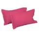 Pink__SLEEPING OWLS