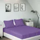 Lavender__SLEEPING OWLS