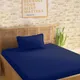 Blue__SLEEPING OWLS