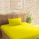 Yellow__SLEEPING OWLS