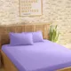Lavender__SLEEPING OWLS