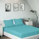 Blue__SLEEPING OWLS