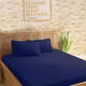 Blue__SLEEPING OWLS