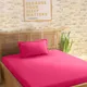 Pink__SLEEPING OWLS