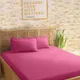 Roseberry__SLEEPING OWLS