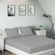 Grey__SLEEPING OWLS