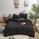 Black__SLEEPING OWLS