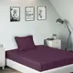 Plum__SLEEPING OWLS