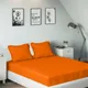 Orange__SLEEPING OWLS