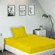 Yellow__SLEEPING OWLS