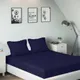 Blue__SLEEPING OWLS