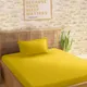Golden__SLEEPING OWLS