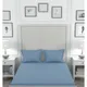 Blue__SLEEPING OWLS