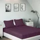 Plum__SLEEPING OWLS