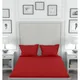 Red__SLEEPING OWLS