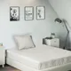 White__SLEEPING OWLS